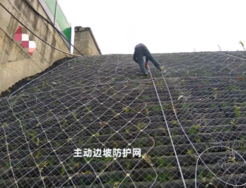 陵水交通护栏网的使用寿命是多长？